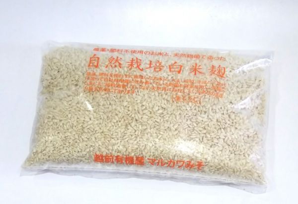 【農薬、肥料を使わない自然栽培の白米麹】自然栽培白米麹５００ｇ【クール便発送】